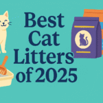 Best Cat litter 2025