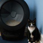 Litter-Robot 4 Review: My Real Experience After Months of Use