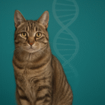 Inherited Disorders in Cats