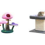 Catry Cat Tree Review: 4 Picks That Are Actually Worth Buying