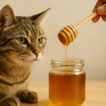A curious tabby cat watching honey drip from a wooden dipper into a glass jar, photographed in warm natural light on a neutral kitchen background.